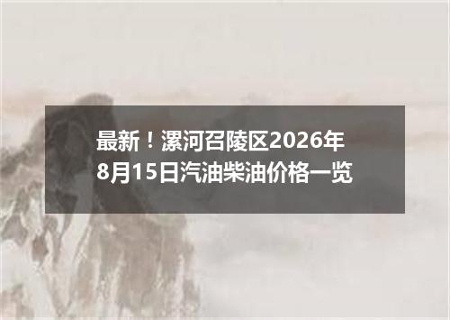 最新！漯河召陵区2026年8月15日汽油柴油价格一览