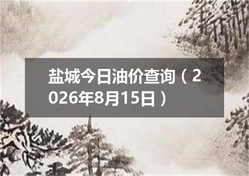盐城今日油价查询（2026年8月15日）