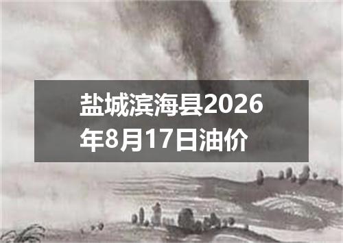 盐城滨海县2026年8月17日油价