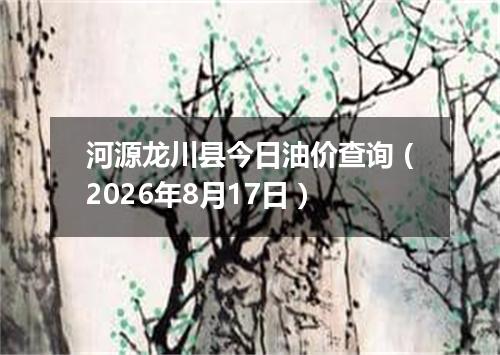 河源龙川县今日油价查询（2026年8月17日）