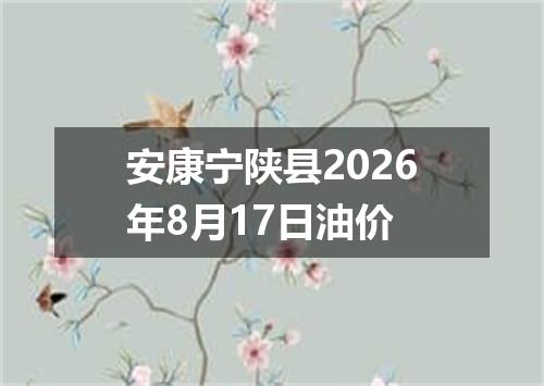 安康宁陕县2026年8月17日油价