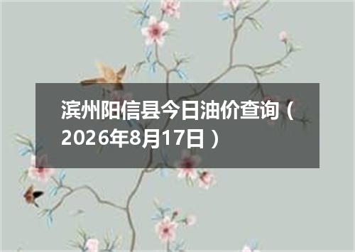 滨州阳信县今日油价查询（2026年8月17日）