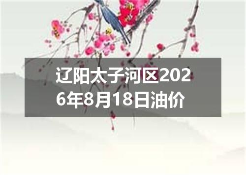 辽阳太子河区2026年8月18日油价