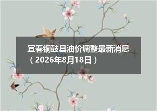 宜春铜鼓县油价调整最新消息（2026年8月18日）