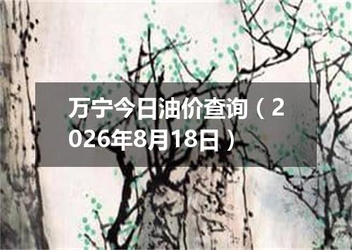 万宁今日油价查询（2026年8月18日）