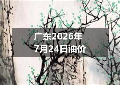 广东2026年7月24日油价