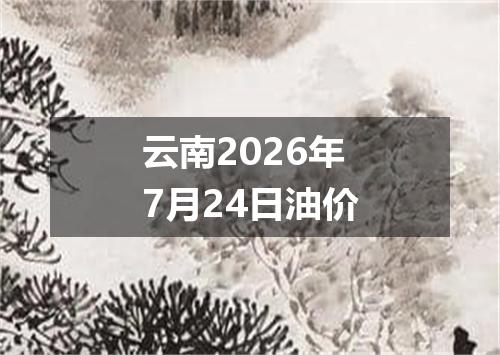云南2026年7月24日油价