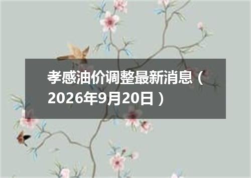 孝感油价调整最新消息（2026年9月20日）