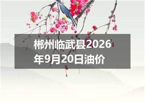 郴州临武县2026年9月20日油价