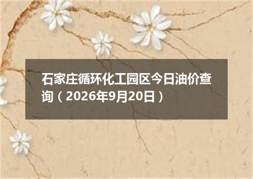 石家庄循环化工园区今日油价查询（2026年9月20日）