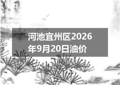 河池宜州区2026年9月20日油价