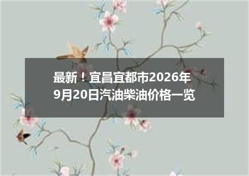 最新！宜昌宜都市2026年9月20日汽油柴油价格一览