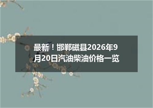 最新！邯郸磁县2026年9月20日汽油柴油价格一览