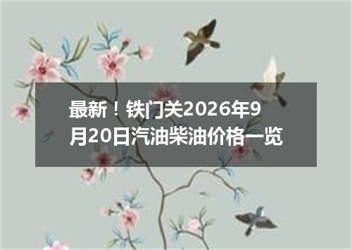 最新！铁门关2026年9月20日汽油柴油价格一览